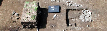 GIS Image